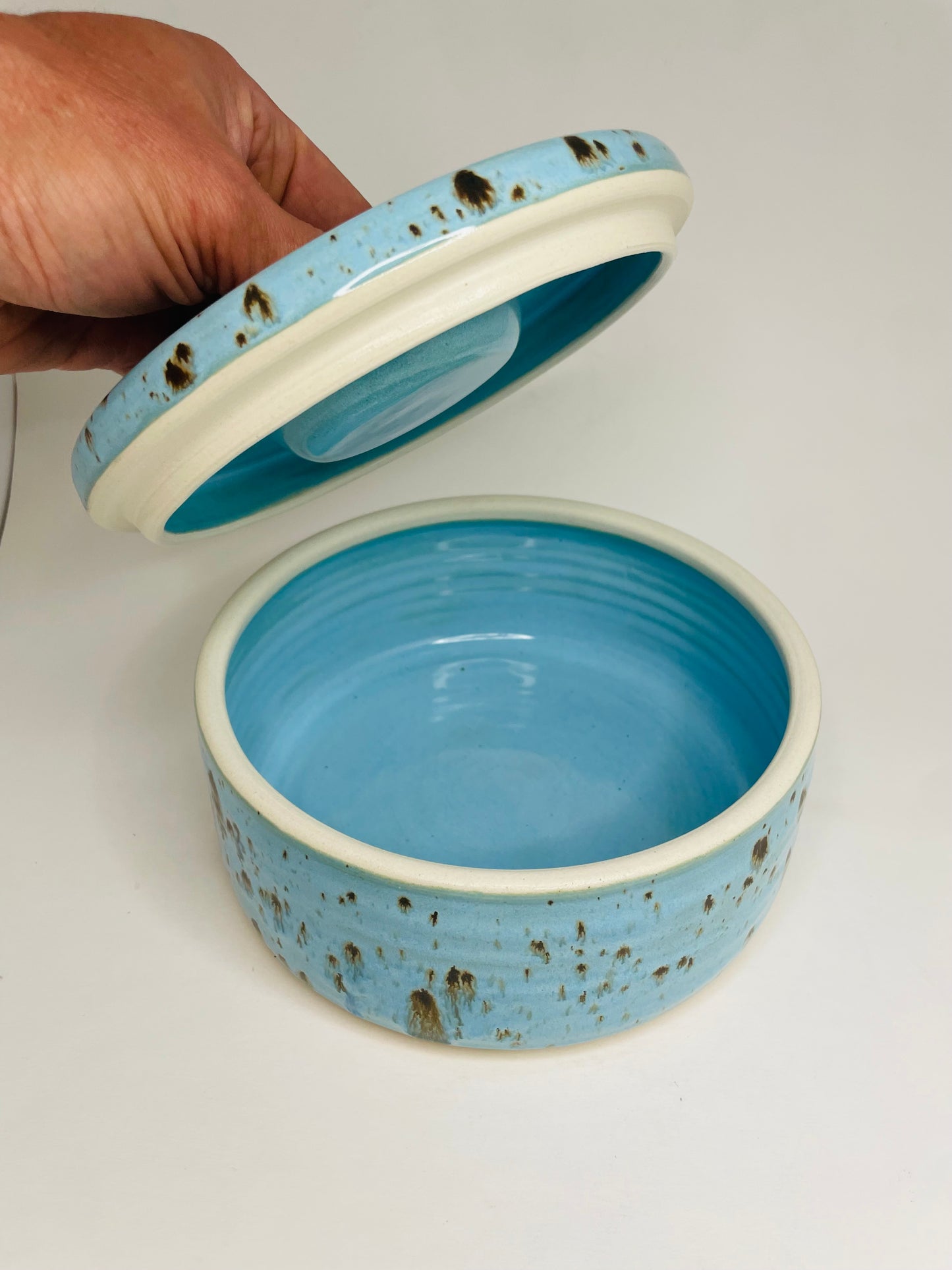 Lidded Container